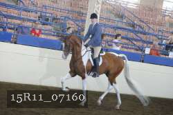 15R11_07160 thumbnail