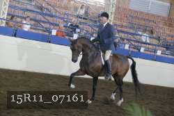 15R11_07161 thumbnail