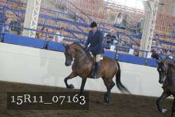 15R11_07163 thumbnail