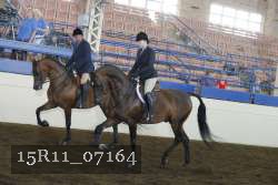 15R11_07164 thumbnail