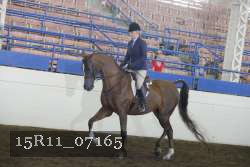 15R11_07165 thumbnail