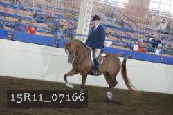 15R11_07166 thumbnail