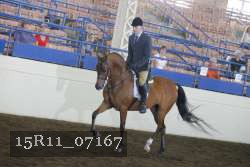 15R11_07167 thumbnail