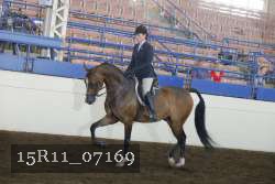 15R11_07169 thumbnail