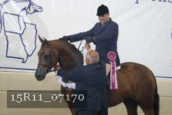 15R11_07170 thumbnail
