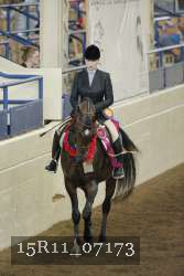 15R11_07173 thumbnail
