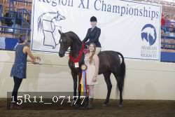 15R11_07177 thumbnail