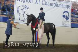 15R11_07179 thumbnail
