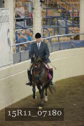 15R11_07180 thumbnail