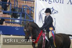 15R11_07182 thumbnail