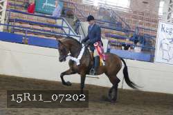 15R11_07202 thumbnail