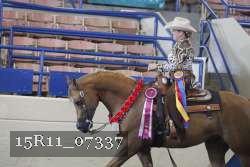 15R11_07337 thumbnail