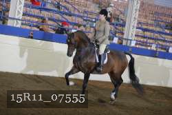 15R11_07555 thumbnail