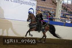 15R11_07693 thumbnail