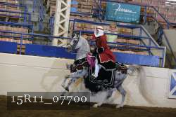 15R11_07700 thumbnail