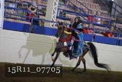 15R11_07705 thumbnail