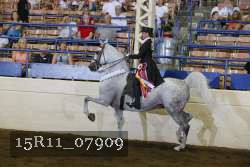 15R11_07909 thumbnail