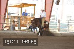15R11_08085 thumbnail