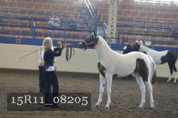 15R11_08205 thumbnail