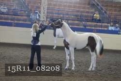 15R11_08208 thumbnail