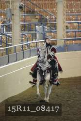 15R11_08417 thumbnail