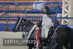15R11_08423 thumbnail