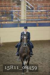 15R11_08459 thumbnail