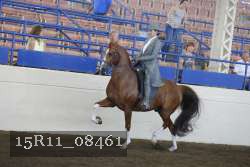 15R11_08461 thumbnail