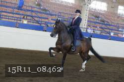 15R11_08462 thumbnail