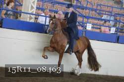 15R11_08463 thumbnail