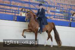 15R11_08464 thumbnail