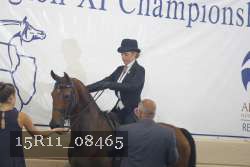 15R11_08465 thumbnail