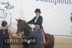 15R11_08466 thumbnail