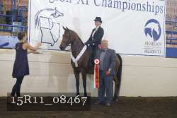 15R11_08467 thumbnail