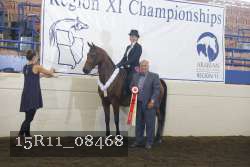 15R11_08468 thumbnail