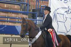 15R11_08470 thumbnail