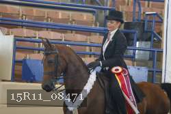 15R11_08471 thumbnail