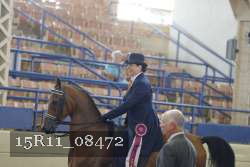 15R11_08472 thumbnail