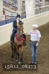 15R11_08473 thumbnail