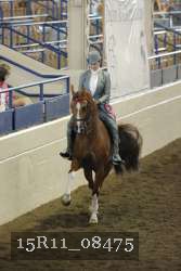 15R11_08475 thumbnail