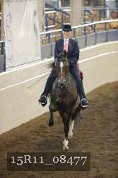 15R11_08477 thumbnail