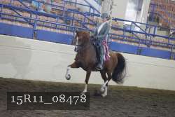 15R11_08478 thumbnail