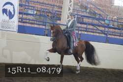 15R11_08479 thumbnail