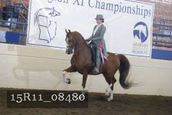 15R11_08480 thumbnail