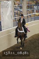 15R11_08481 thumbnail