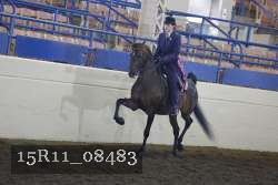 15R11_08483 thumbnail