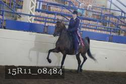 15R11_08484 thumbnail