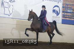 15R11_08485 thumbnail