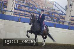 15R11_08486 thumbnail