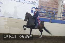 15R11_08487 thumbnail